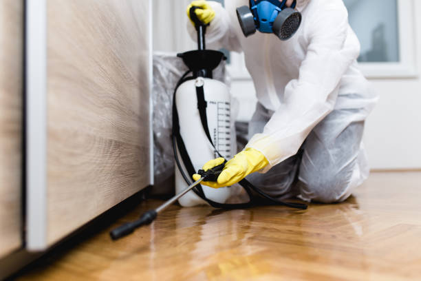 Professional Pest Control in Cherry Hill Mall, NJ