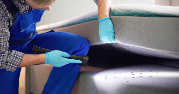 Best Rat Extermination Near Me  in Cherry Hill Mall, NJ